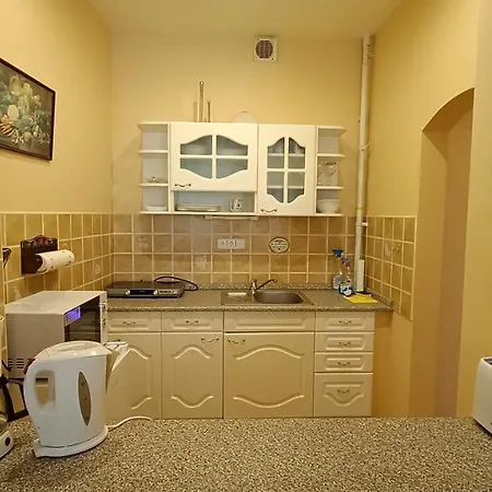 Apartment Stubsi With Colonnade View Karlovy Vary