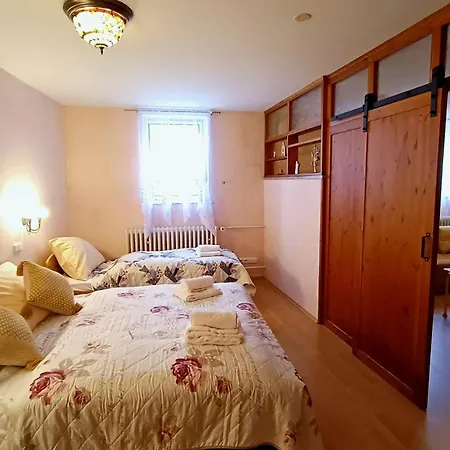 Apartment Stubsi With Colonnade View Karlovy Vary